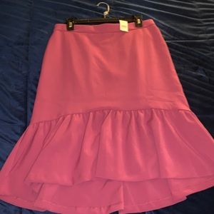 NWT Ann Taylor Skirt